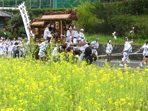 【本祭】地車曳行